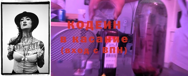 мет Алексин