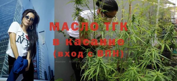 мет Алексин