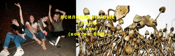 первитин Алзамай